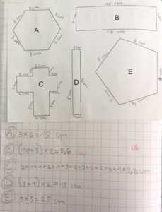 Perimetro Digiscuola Matematica